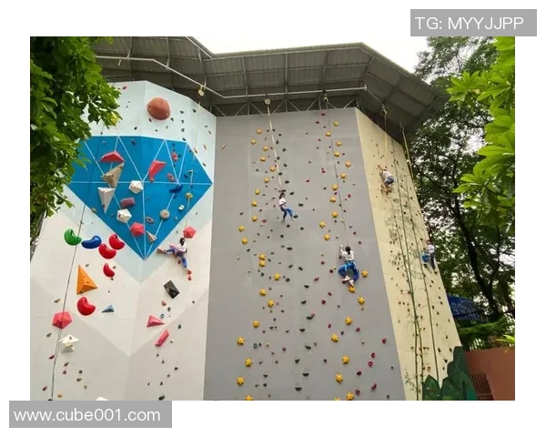 广州攀岩队荣登全国攀岩意识排行榜第五名展现实力与潜力