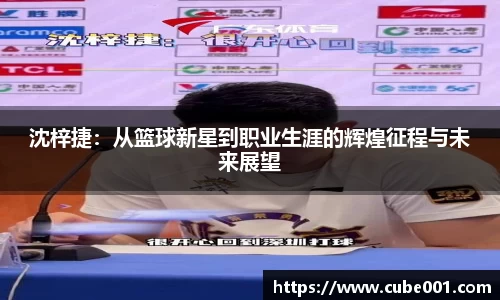 PA视讯