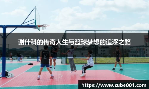 PA视讯平台